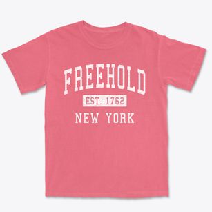 Freehold New York Classic Established Premium Heavyweight T-shirt