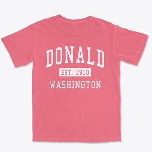 Donald Washington Classic Established Premium Heavyweight T-shirt