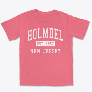 Holmdel New Jersey Classic Established Premium Heavyweight T-shirt