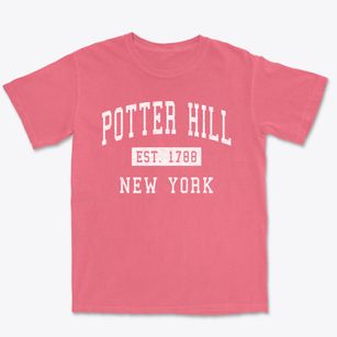 Potter Hill New York Classic Established Premium Heavyweight T-shirt