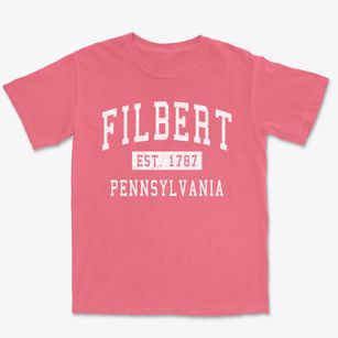 Filbert Pennsylvania Classic Established Premium Heavyweight T-shirt