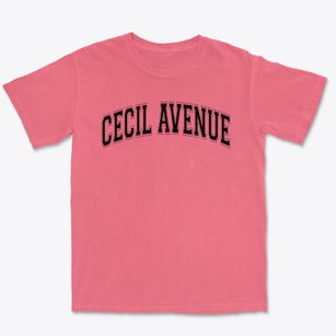 Cecil Avenue Junior High School Varsity Arch Premium Heavyweight T-shirt