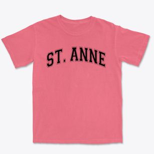 Saint Anne Elementary School Varsity Arch Premium Heavyweight T-shirt