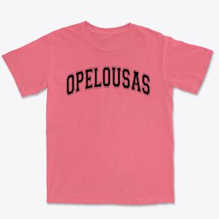 Opelousas Developmental Center Varsity Arch Premium Heavyweight T-shirt