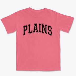 Plains Elementary School Varsity Arch Premium Heavyweight T-shirt