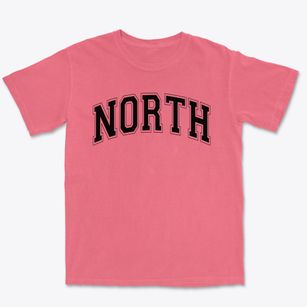 North Elementary School Varsity Arch Premium Heavyweight T-shirt