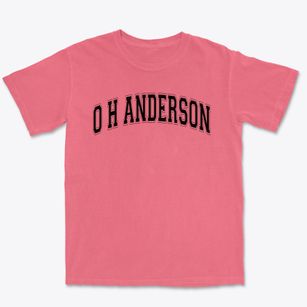 O H Anderson Elementary School Varsity Arch Premium Heavyweight T-shirt