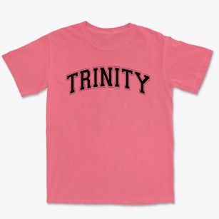 Trinity Learning Center Varsity Arch Premium Heavyweight T-shirt