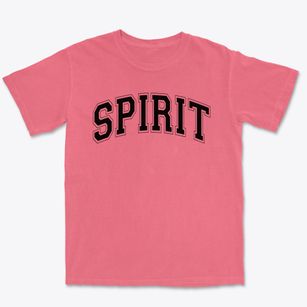 Spirit Academy Varsity Arch Premium Heavyweight T-shirt