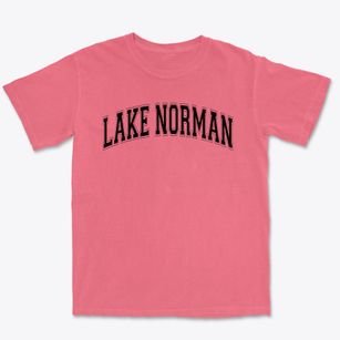 Lake Norman Elementary School Varsity Arch Premium Heavyweight T-shirt