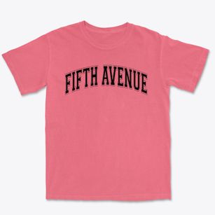 Fifth Avenue Elementary School Varsity Arch Premium Heavyweight T-shirt