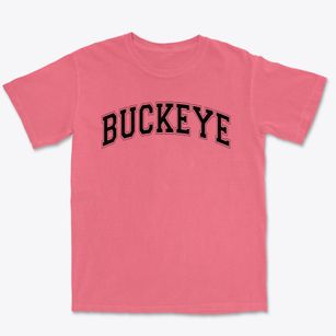 Buckeye Career Center Varsity Arch Premium Heavyweight T-shirt
