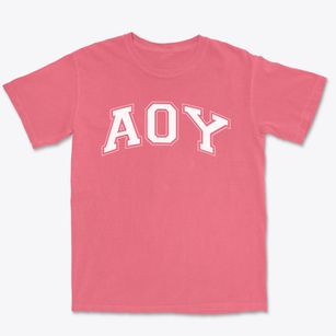 Aoy Elementary School Varsity Arch Premium Heavyweight T-shirt