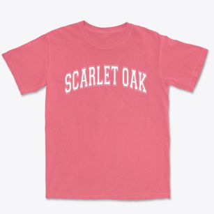 Scarlet Oak Elementary School Varsity Arch Premium Heavyweight T-shirt