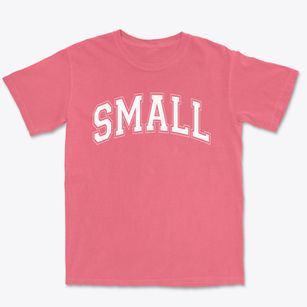 Dora L. Small Elementary School Varsity Arch Premium Heavyweight T-shirt