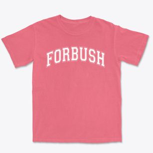 Forbush Elementary School Varsity Arch Premium Heavyweight T-shirt