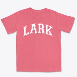 Lark Elementary School Varsity Arch Premium Heavyweight T-shirt