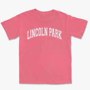 Lincoln Park Elementary School Varsity Arch Premium Heavyweight T-shirt