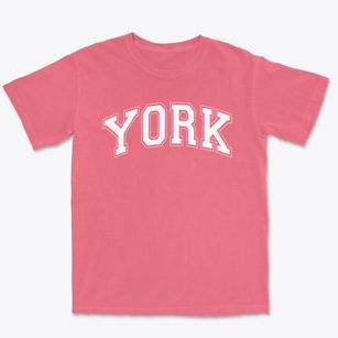 York Prep Varsity Arch Premium Heavyweight T-shirt