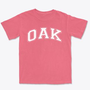 Oak Cliff Special Education Center Varsity Arch Premium Heavyweight T-shirt