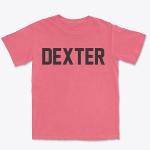 Dexter Michigan Classic Block Premium Heavyweight T-shirt