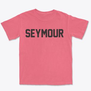 Seymour Texas Classic Block Premium Heavyweight T-shirt
