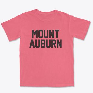 Mount Auburn Iowa Classic Block Premium Heavyweight T-shirt