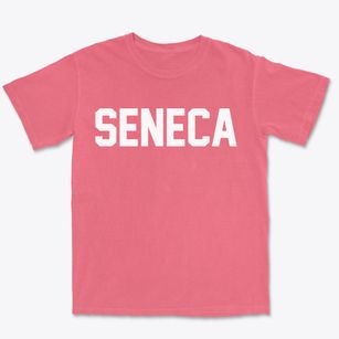 Seneca Missouri Classic Block Premium Heavyweight T-shirt