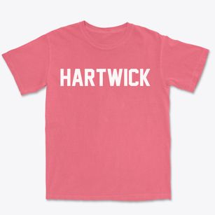 Hartwick New York Classic Block Premium Heavyweight T-shirt