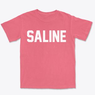 Saline Michigan Classic Block Premium Heavyweight T-shirt