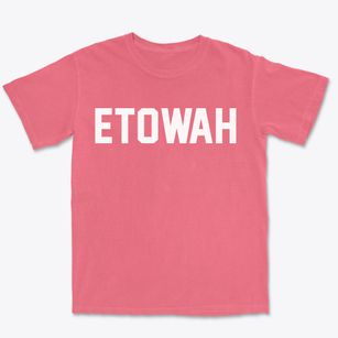 Etowah North Carolina Classic Block Premium Heavyweight T-shirt