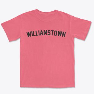 Williamstown Vermont Classic Curve Premium Heavyweight T-shirt