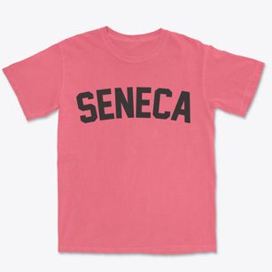 Seneca Missouri Classic Curve Premium Heavyweight T-shirt