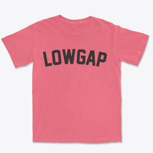Lowgap North Carolina Classic Curve Premium Heavyweight T-shirt