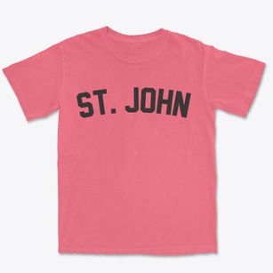 St. John North Dakota Classic Curve Premium Heavyweight T-shirt