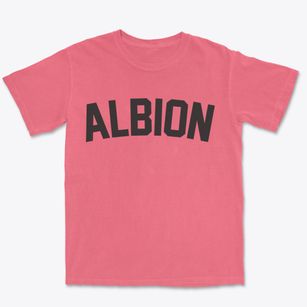 Albion Oklahoma Classic Curve Premium Heavyweight T-shirt