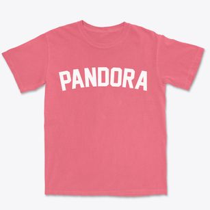 Pandora Ohio Classic Curve Premium Heavyweight T-shirt