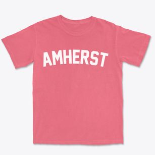 Amherst Nebraska Classic Curve Premium Heavyweight T-shirt