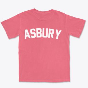 Asbury Missouri Classic Curve Premium Heavyweight T-shirt