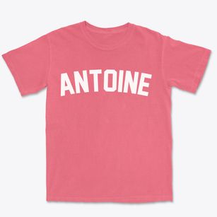 Antoine Arkansas Classic Curve Premium Heavyweight T-shirt