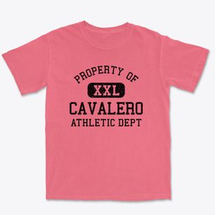 Cavalero Washington Athletic Dept Premium Heavyweight T-shirt