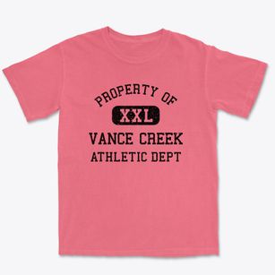 Vance Creek Wisconsin Athletic Dept Premium Heavyweight T-shirt