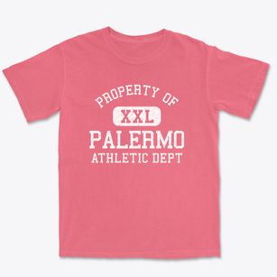 Palermo New York Athletic Dept Premium Heavyweight T-shirt