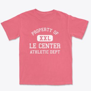 Le Center Minnesota Athletic Dept Premium Heavyweight T-shirt