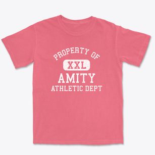Amity New York Athletic Dept Premium Heavyweight T-shirt