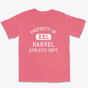 Harvel Illinois Athletic Dept Premium Heavyweight T-shirt