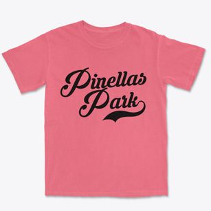 Pinellas Park Florida Vintage Team Premium Heavyweight T-shirt