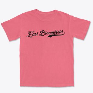 East Bloomfield New York Vintage Team Premium Heavyweight T-shirt