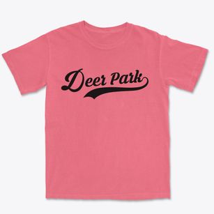 Deer Park New York Vintage Team Premium Heavyweight T-shirt