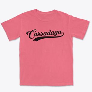 Cassadaga New York Vintage Team Premium Heavyweight T-shirt